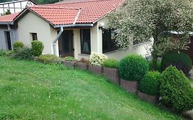 Ferienhaus Waldblick